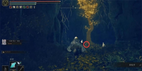 艾尔登法环幽影树碎片收集攻略(图6)