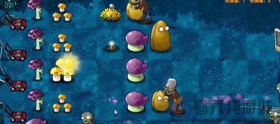 《植物大战僵尸融合版》冒险模式第10关通关攻略(图4)