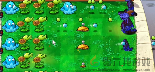 植物大战僵尸杂交版前院告急第四关如何速通(图7) 植物大战僵尸杂交版前院告急第四关如何速通(图7)