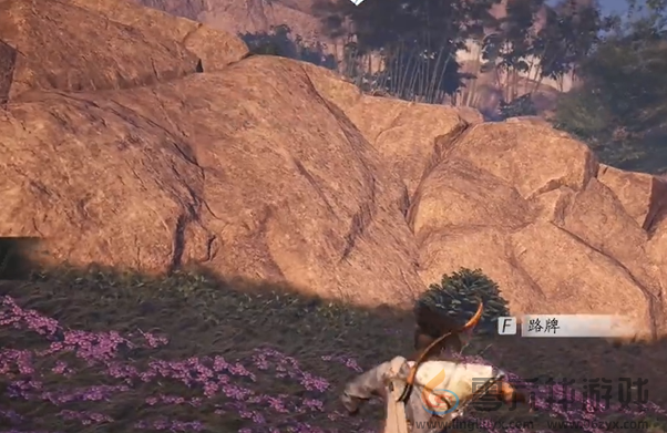 燕云十六声花海蹊跷在哪(图6) 燕云十六声花海蹊跷在哪(图6)